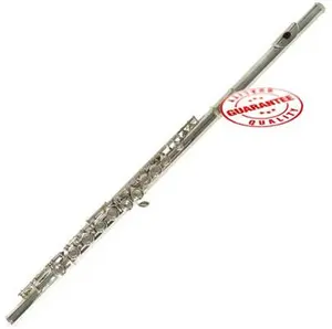 Hawk Nickel Plated Closed Holed Student Flute with Case