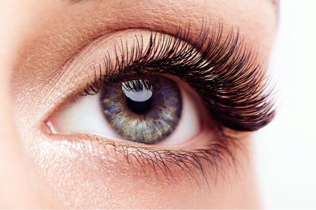 KISS 'Color The World' Pride False Eyelashes - Live Proud KISS 'Color The World' Pride False Eyelashes - Live Proud