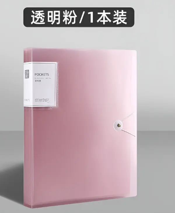 Pink Translucent Snap Plastic Folder, 1 Piece