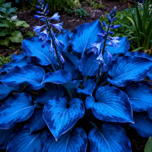 800pcs Mixed Flower Seeds for Garden Planting, Ornamental Flower Seeds Only, Not Live Plants