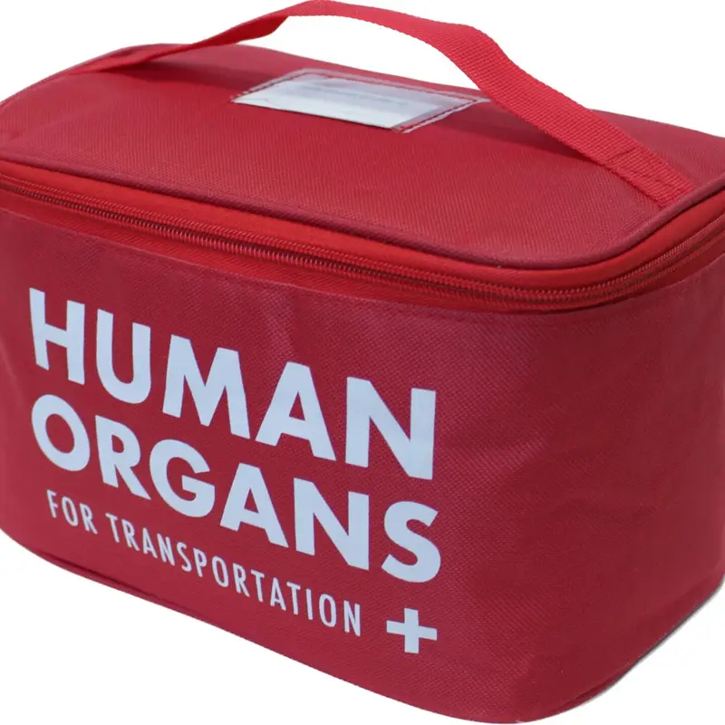 Human Organs Lunch Bag – Hilariously Insulated Cooler for Work, School & EMTs! 🩸😂