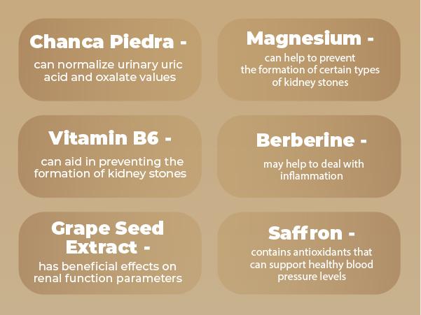 Kidney Health Formula Natural Kidney Cleanse & Stone Breaker Detox Supplement