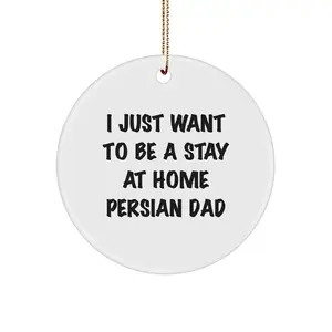 Funny Persian Cat Circle Ornament Gifts from Men to Friends for Christmas Unique Presents