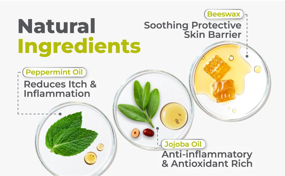 terrasil Bed Sores Treatment Cream & Pressure Sores Cream – Natural Ingredients for Healing of Bedsores, Ulcers & Wounds, 3X Power for Fast Soothing Relief (1.5 oz jar) terrasil Bed Sores Treatment Cream & Pressure Sores Cream – Natural Ingredients for Healing of Bedsores, Ulcers & Wounds, 3X Power for Fast Soothing Relief (1.5 oz jar)