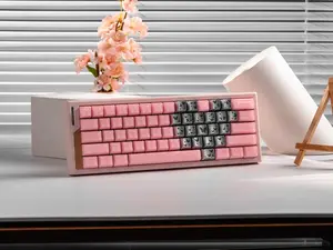 Womier PBT Keycaps,21 Keys Butterfly Theme Side Printed Shine Through Keycaps for All Cherry MX Switch US Layout Mechnical Keyboard