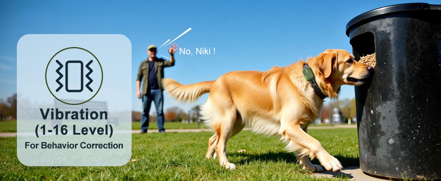 JUGBOW Dog Training Collar 4500FT Dog Training Behavior Aid, Remote IPX8 Waterproof with 4 Training Modes, Rechargeable E-Collar for All Breeds DT61 JUGBOW Dog Training Collar 4500FT Dog Training Behavior Aid, Remote IPX8 Waterproof with 4 Training Modes, Rechargeable E-Collar for All Breeds DT61