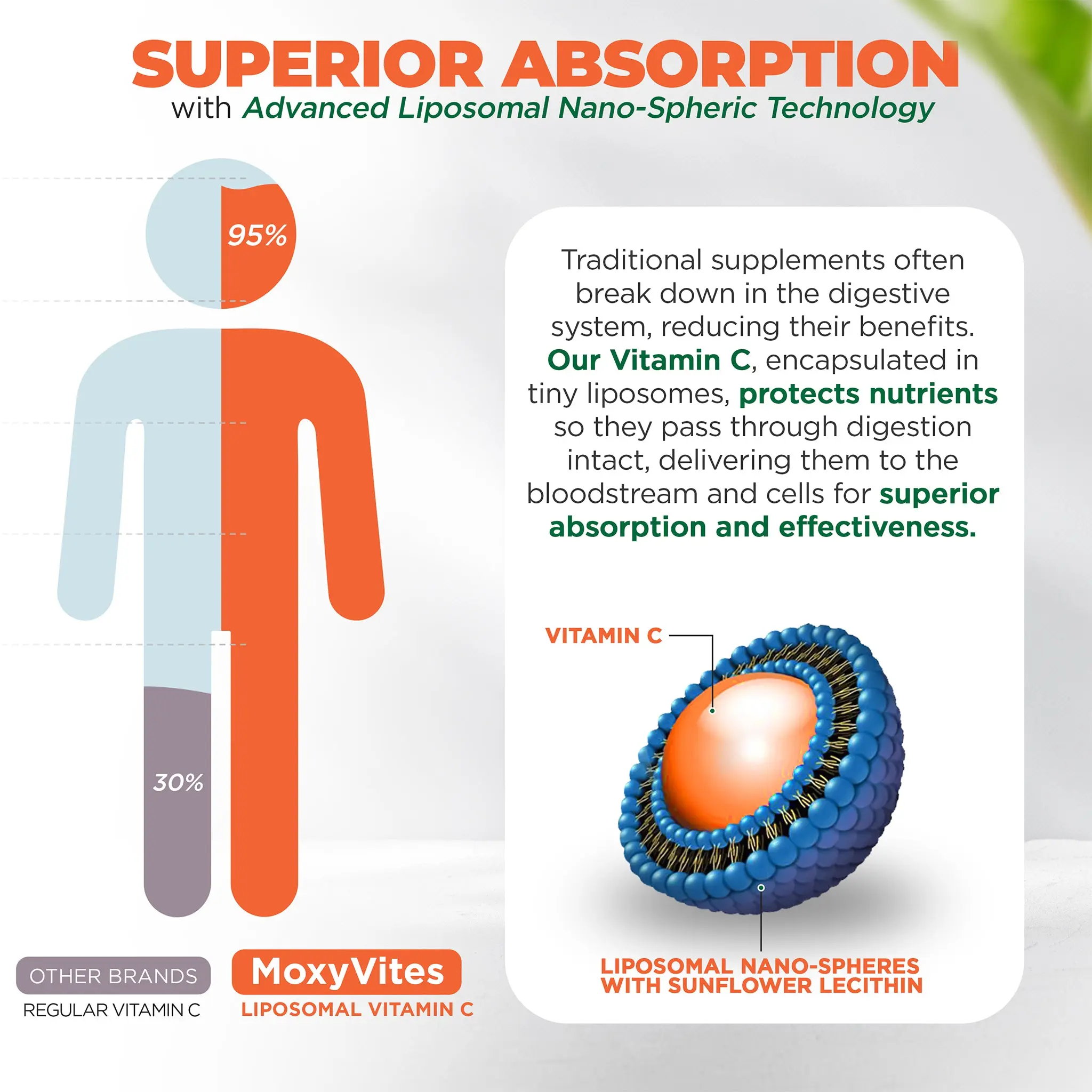 MoxyVites Liposomal Vitamin C 1500mg with Zinc & Organic Elderberry  Capsules for Immune Support & Antioxidant Protection