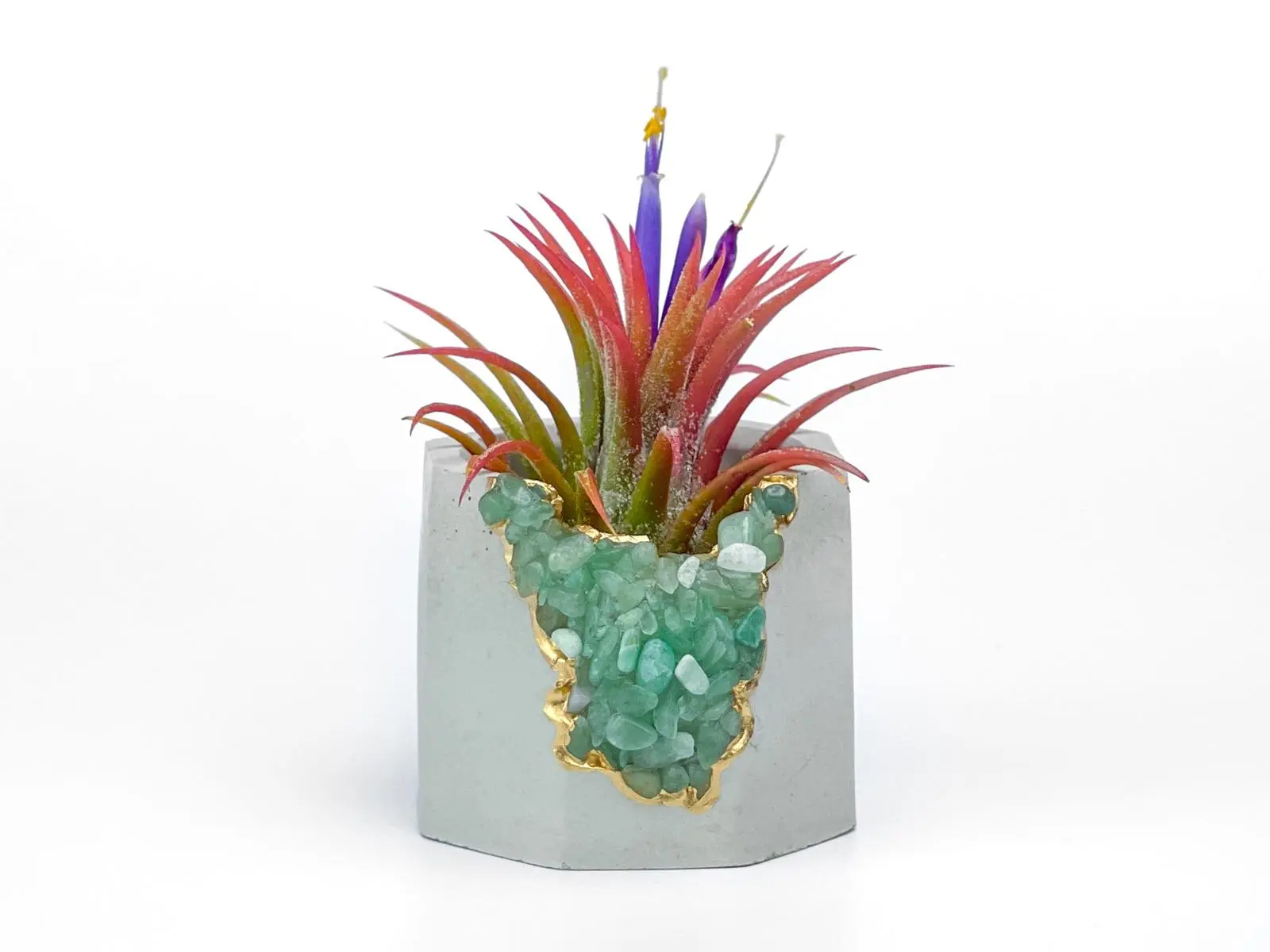 Air Plant Holder  Geode Planter Air Plant Planter Succulent