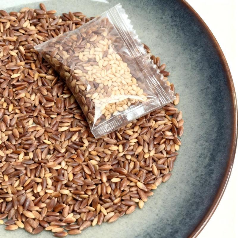 200+ Rose Seeds for Planting Outdoor & Indoor Garden, Perennial Heirloom Open Pollinated Flower Seeds, Non-GMO Hardy Easy Growing for Beginners & Gardeners