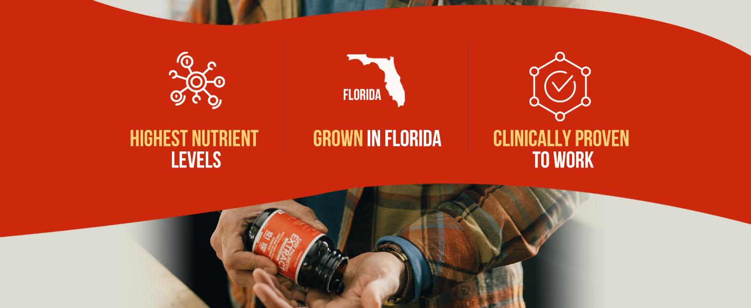 Saw Palmetto Extract with Pumpkin Seed Oil Healthcare Dietary Fitness Supplement Fitness Supplement