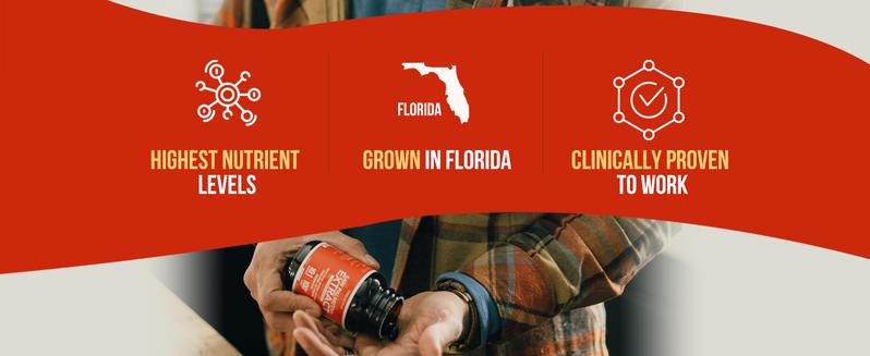 Saw Palmetto Extract with Pumpkin Seed Oil Healthcare Dietary Fitness Supplement Fitness Supplement