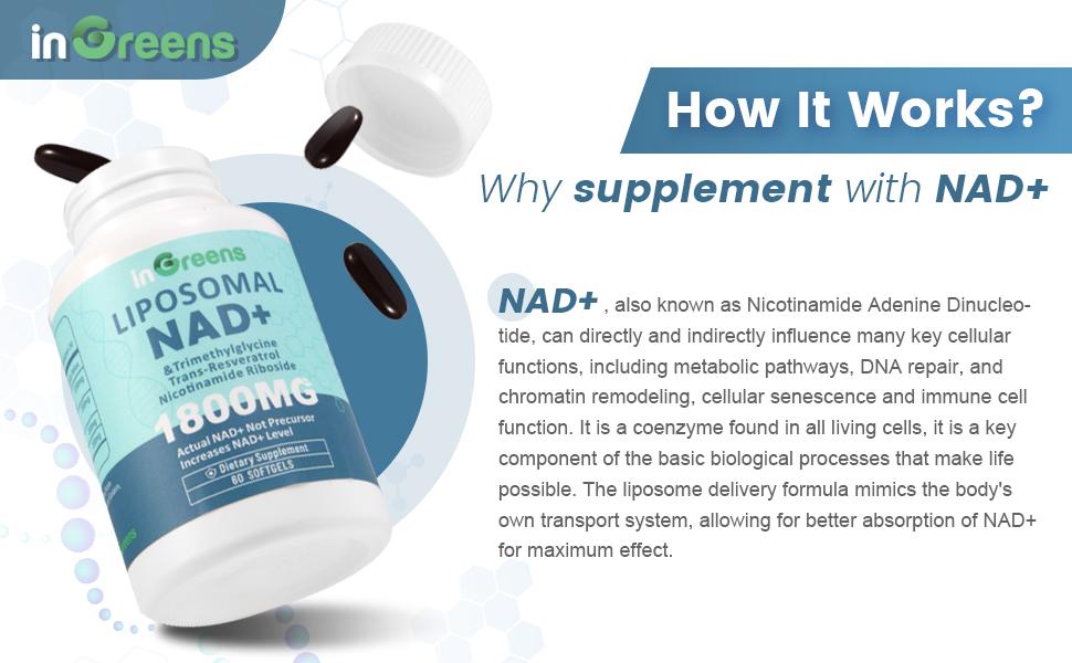 inGreens NAD+ Supplement 1800 mg with Nicotinamide Riboside 200mg, Trans Resveratrol 200mg, Trimethylglycine 200mg，Boost NAD+, Cellular Energy and DNA Repair, 60 Softgels non-pharmaceutical Fitness Healthcare