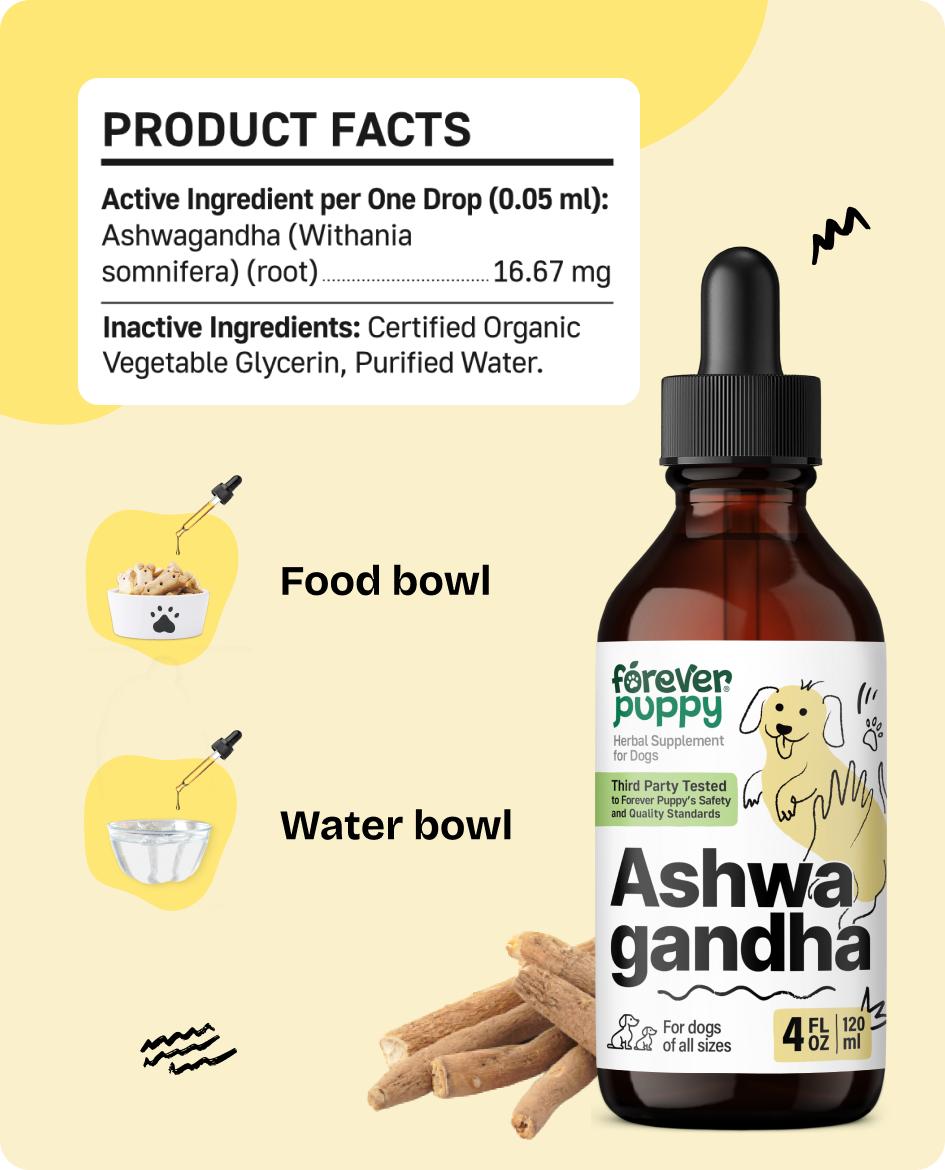 Ashwagandha Drops for Dogs - Calming Care with Ashwagandha Root Tincture - Liquid Alternative to Calming Chews for Dogs' Composure & Relaxation - Canine Vitamins and Supplements - 4 oz