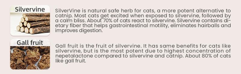 Premium Cat Chew Stick Toy, Natural Silvervine Sticks Cat Toys, Catnip Alternative Cat Chew Toys Teeth Cleaning, Matatabi Cat Treat, Edible Kitty Toys