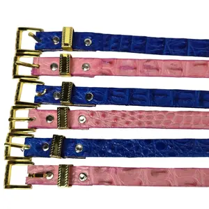 Caiman Hatband/Toquilla