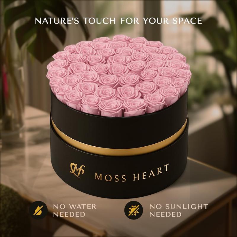 50 Light Pink Preserved Forever Roses in Round Box