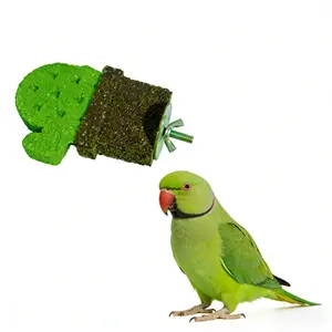Cactus Shaped Bird Perch - Sanded Grinding Stand for Parrots, Non-Shedding Claw & Beak Care Toy