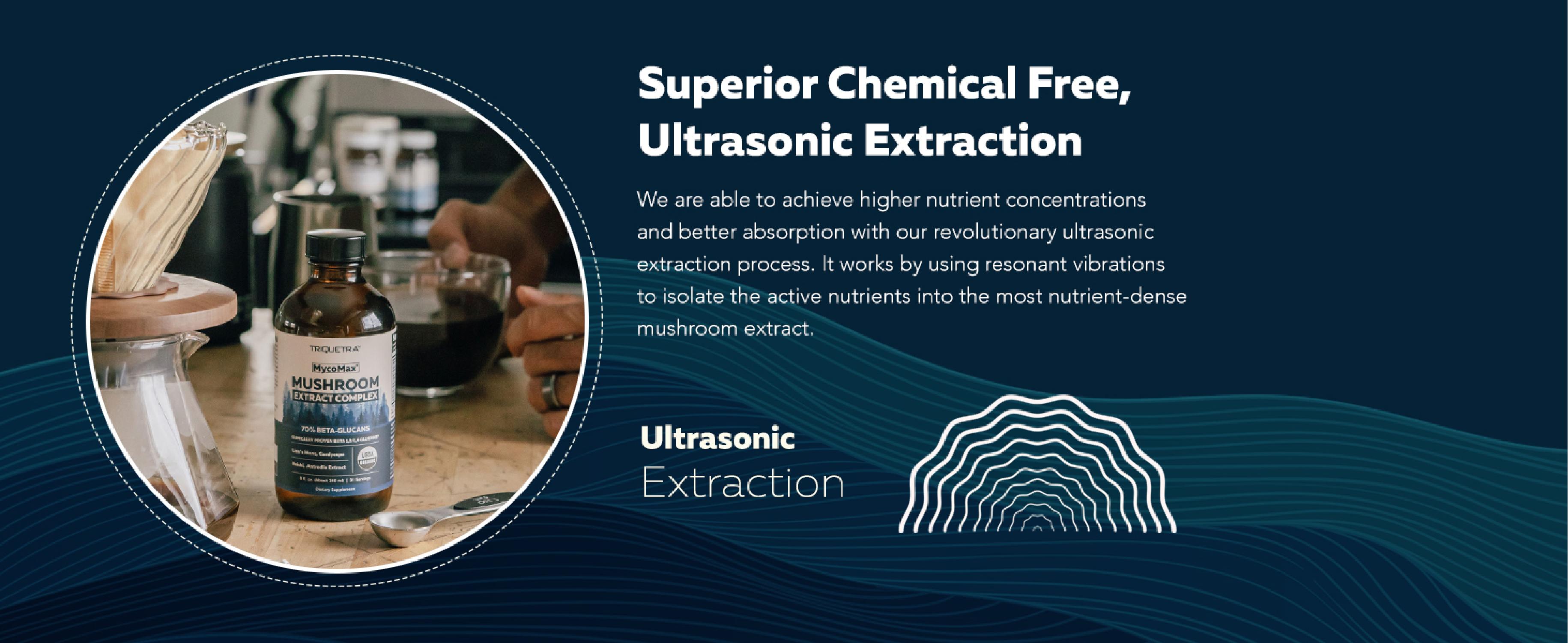 MycoMax Mushroom Complex - 70% Beta Glucans Healthcare Tea