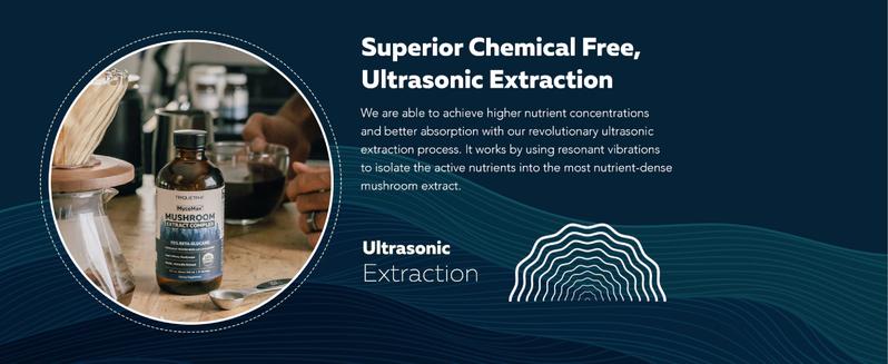 MycoMax Mushroom Complex - 70% Beta Glucans Healthcare Tea