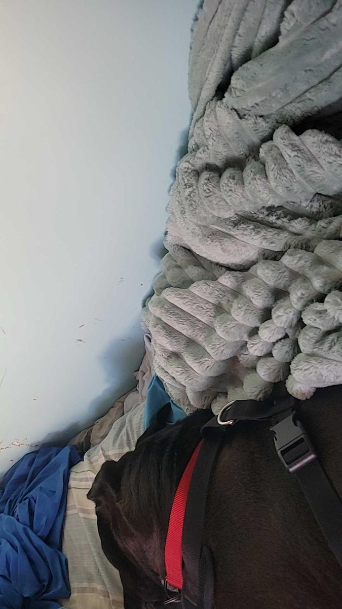 Item: Green, 108 x 90 inch