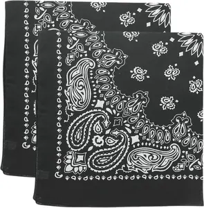 Trainmen Paisley Bandana Head Scarf Do-rag 100% Cotton Bandanna Cover 22" x 22", 2 Pack