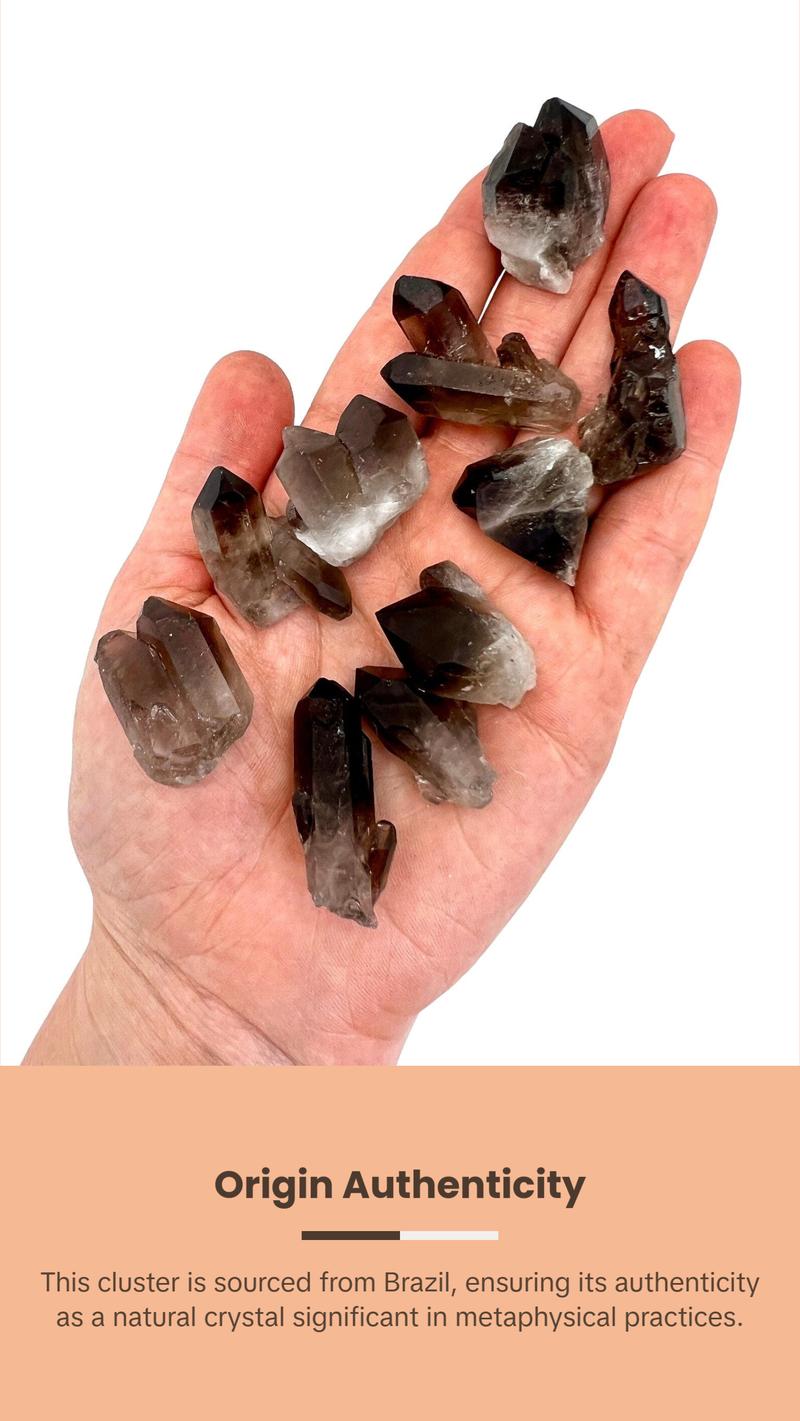 Raw Smoky Quartz Cluster with Large Points