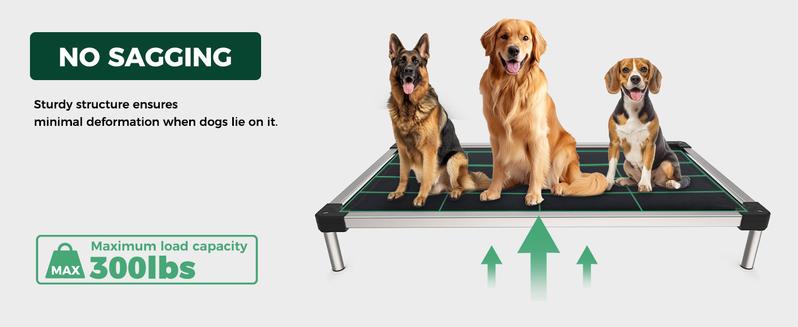 FXW TitanNest Chew Proof Elevated Dog Bed for Chewers, Dog Cot for Outdoor & Indoor, Padded dog bed  dog beds
