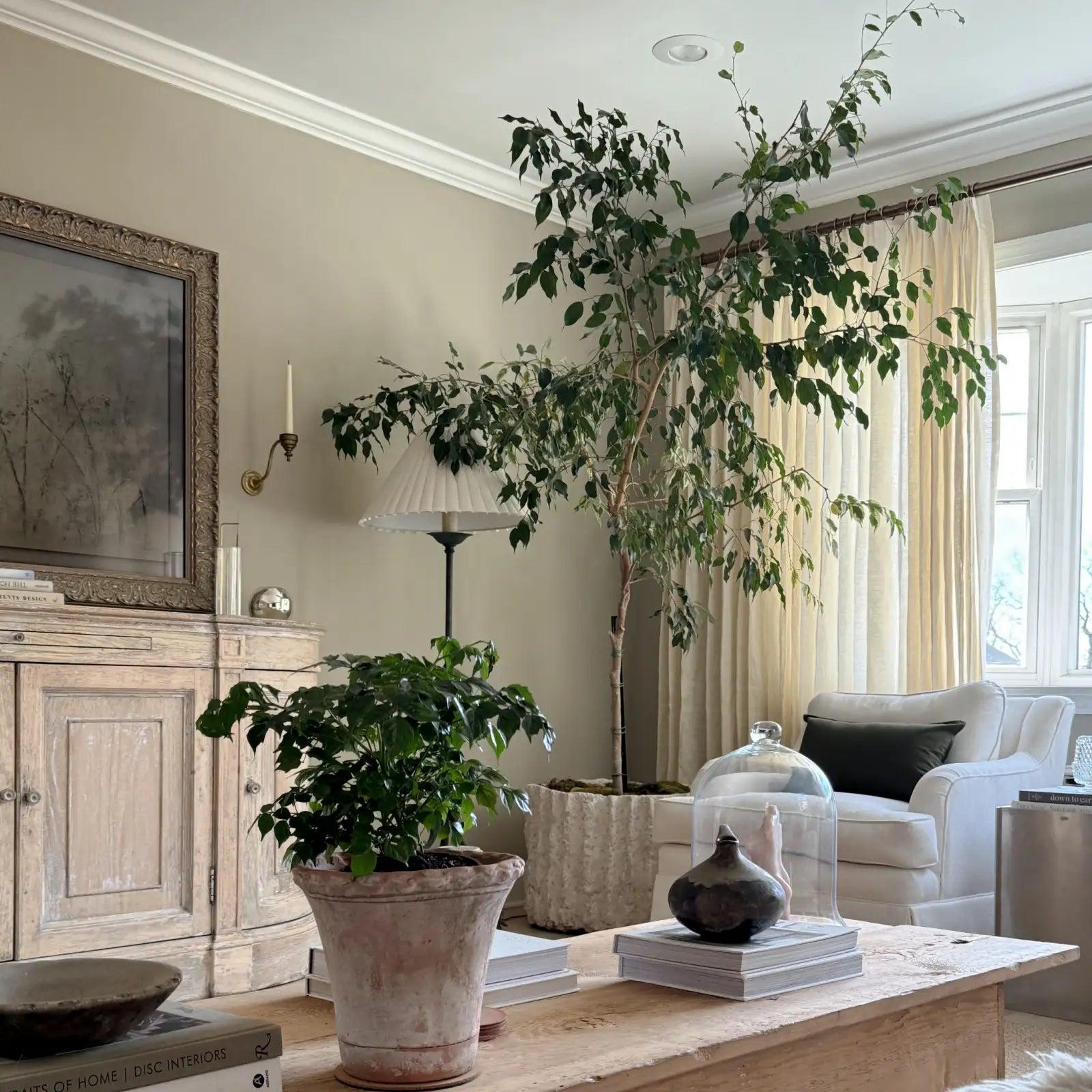 TWOPAGES Patti Belgian Linen Curtain Fabric Swatch Booklet 100% Soft Durable Material 248 gsm Heavyweight Solid Colors for Indoor Outdoor Use TWOPAGES Patti Belgian Linen Curtain Fabric Swatch Booklet 100% Soft Durable Material 248 gsm Heavyweight Solid Colors for Indoor Outdoor Use