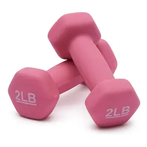 Neoprene 2LB Dumbbell Hand Weight Sets of 2 Pink Anti-Roll Anti-Slip Hexagon Shape Coated for Fitness Training Nonslip Grip