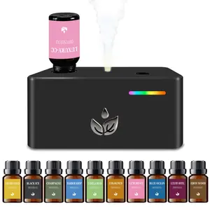 Cool Mist Essential Oil Diffuser with Atmosphere Light - 10 Bottles Luxury Natural Scented Perfume, Long Lasting Fragrance Air Freshener, Noiseless Aroma Diffuser for Home,Car,Hotel,Birthday Gift