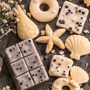 Summer Collection – Spice & Spines Wax Melts  | 3 oz Clam Shell