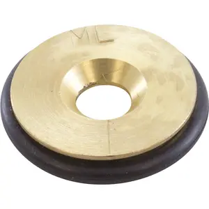 Orifice, Pentair MasterTemp 300, LP