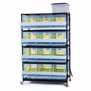 Quail Cage - 4 Layer