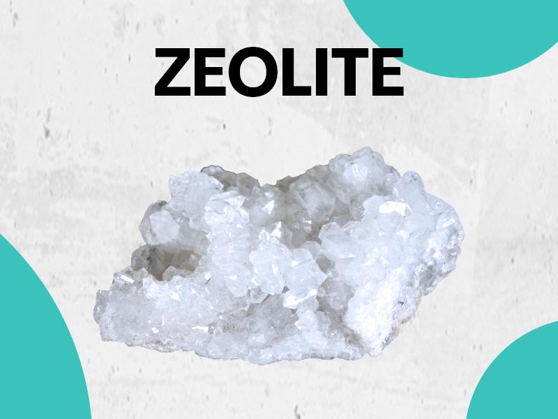 Zeolite Kids Detox Gummies (Mixed Berry Flavor) - Zoyava 9-in-1 Kid Supplement for Brain, Immune, Vitamin, and Overall Healthcare - 60 Edible Gummies - Made in USA - (For Ages 3+) Zeolite Kids Detox Gummies (Mixed Berry Flavor) - Zoyava 9-in-1 Kid Supplement for Brain, Immune, Vitamin, and Overall Healthcare - 60 Edible Gummies - Made in USA - (For Ages 3+)