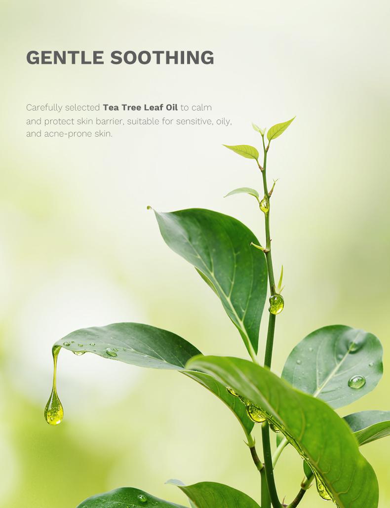 [New] APoEM Purify Tea Tree Face Scrub (150ml) – Gentle Exfoliator for Blackhead Removal, Dark Spot Reduction, and Brightening, Natural Botanical Extracts, Soothing & Rejuvenating, Stock Up