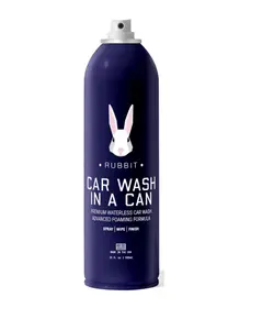 Car Wash in a Can (2-4 washes)