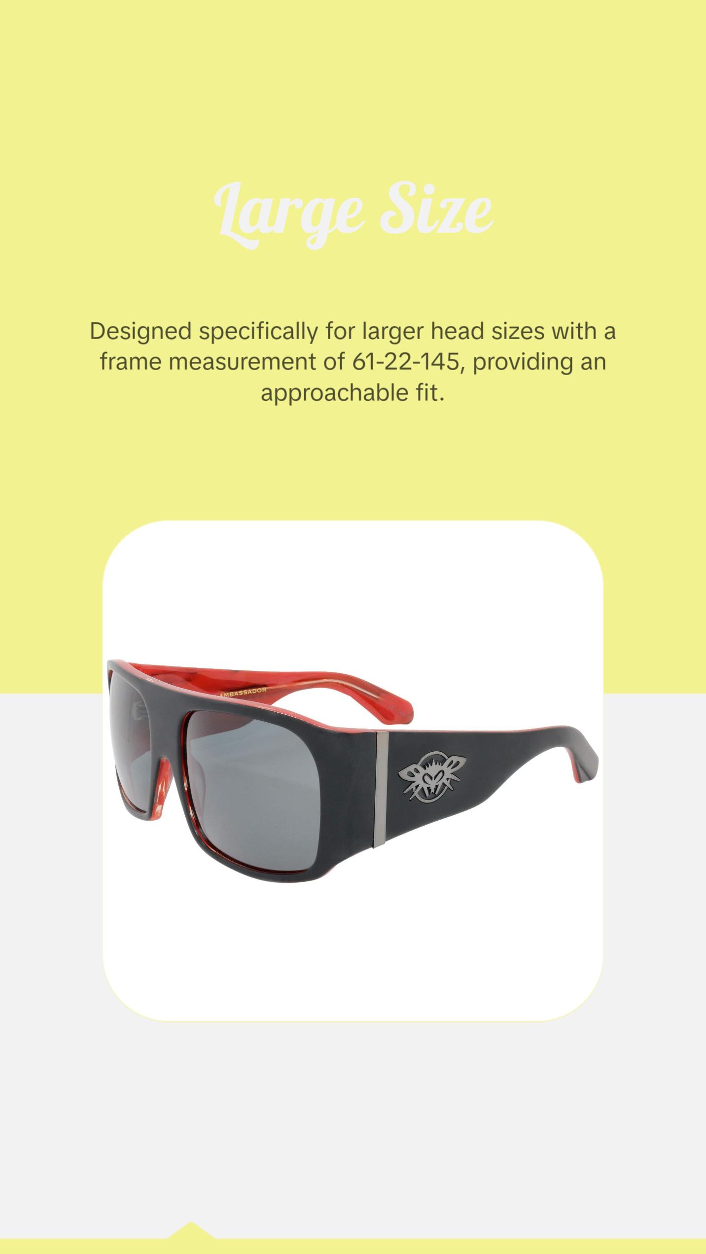 Black Flys Fly Ambassador Dennis Rodman Signature Model Handmade Acetate Frame Sunglasses