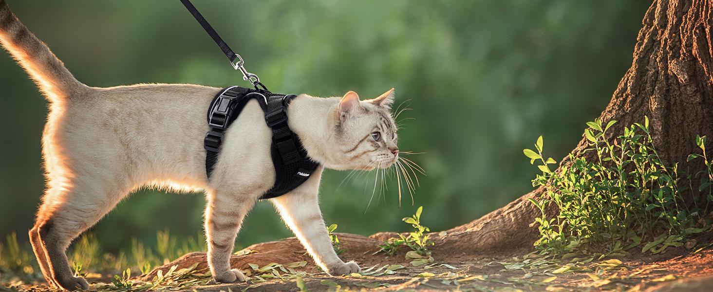 Escape Proof Cat Harness & Leash Set - Adjustable Soft Vest, Reflective Straps for Safe Outdoor Walking, Small to Large Cats Collars No Pull