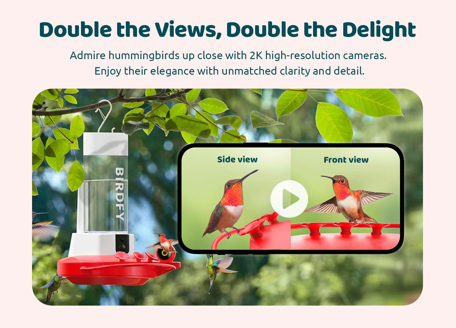 Birdfy Hum Feeder Duo with Dual Camera - 2K High-Resolution Cameras for Hummingbird Behavior and Appearance