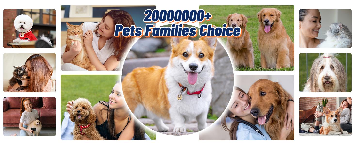 BXYY  5 in 1 Dog Grooming Kit, 1.5L Dust Cup, Shedding Brush, Electric Clipper & Hair Remover Roller for Dogs & Cats Cleaning Tools, Pet Supplies