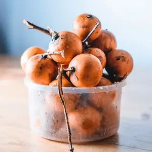 Agbalumo/Udara/African Star Apple