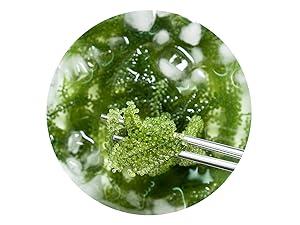 LONGEVITY Dehydrated Sea Grapes, 1.4 oz of (Pack of 2), Umibudo Green Caviar, Lato Seaweed | Enhance Health, Boosting Immune System, Valued Natural Gift From Sea (Original, 40g)