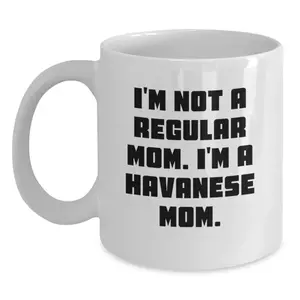 Funny Havanese Dog Mom Gifts from Friends, White Coffee Mug for Havanese Dog Lover, Christmas Unique Present
