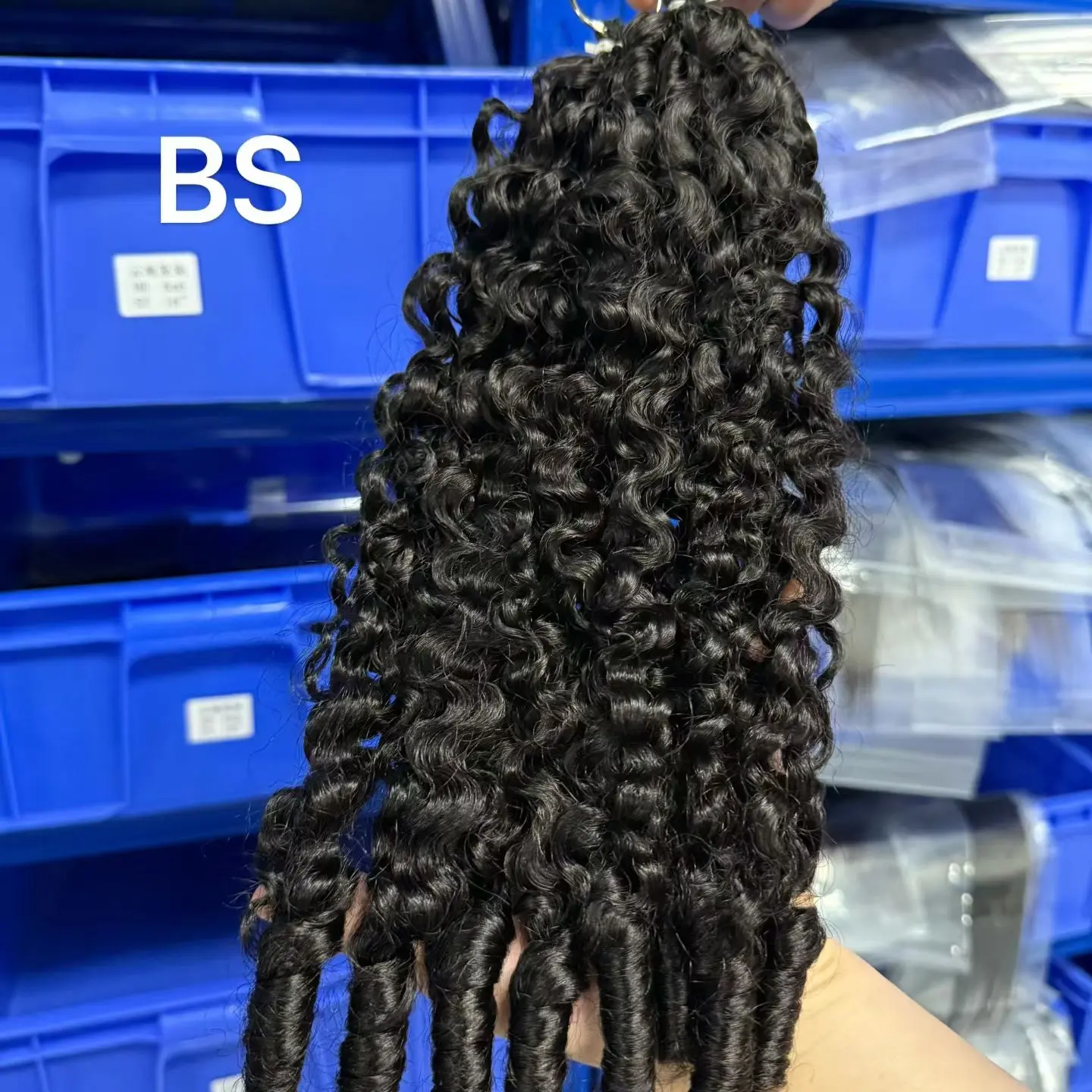 Burmese spiral curly