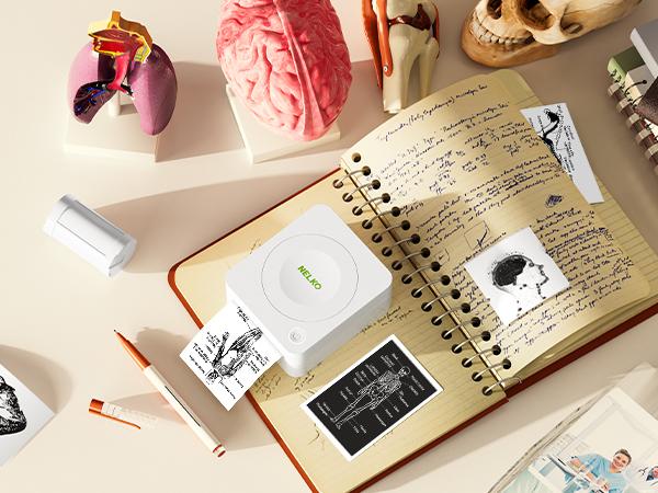 Genuine Thermal Printer Stickers for PM230 Photo Printer, 54mmx3.5m Mini Printer Paper for Photos, Note, 3 Rolls(No Printer)