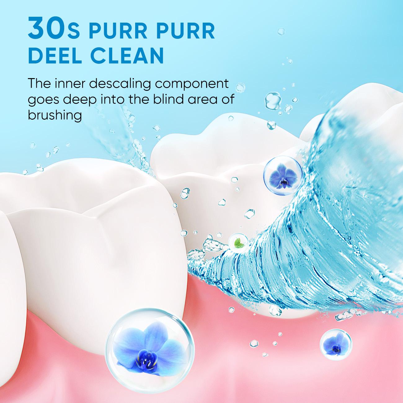 BodyAccel Probiotic Refreshing Mouthwash For Oral Care Daily Cleanser 12 Hours Fresh Breath 6 Pack Cleansing