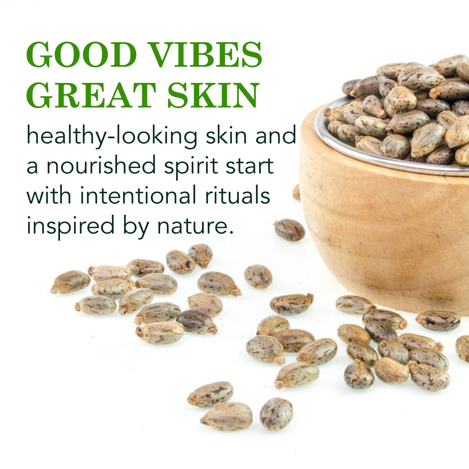 ALIVER Jamaican Black Castor Oil 60ml - Rich & Versatile for Skin Care & Wellness Moisturizer Vegetarian Hydrating Pack for Hair & Body ALIVER Jamaican Black Castor Oil 60ml - Rich & Versatile for Skin Care & Wellness Moisturizer Vegetarian Hydrating Pack for Hair & Body