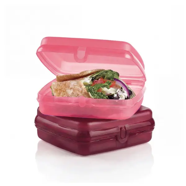 Tupperware Sandwich Keeper ~ Lunch Containers ~ Easy Open Lunch Boxes for Kids and Adults