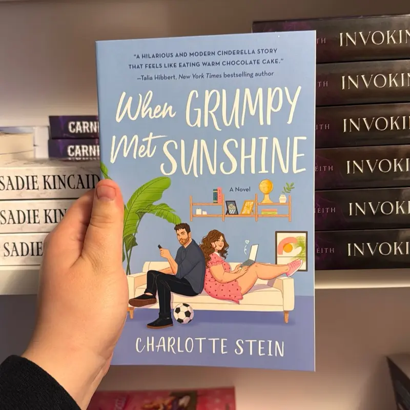 When Grumpy Met Sunshine by Charolette Stein