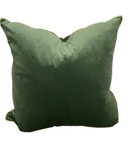 Green Velvet Pillow